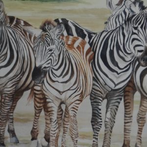 Dazzle of Zebras watercolor painting by Jim Watters