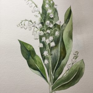 Lily of the Valley watercolor painting by Jim Watters