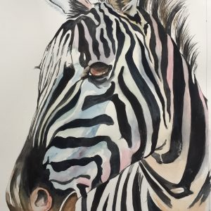 Color Burst Zebra