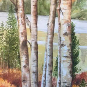 Birch Trees