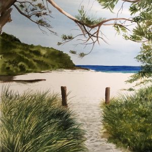 Barefoot Beach