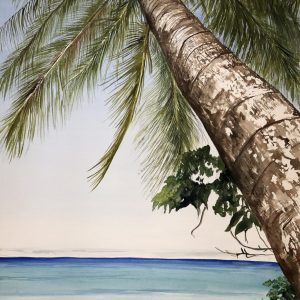 Shadow Reflections Palm Tree