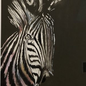Zebra Forward Face