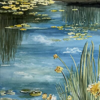 Lily Pads